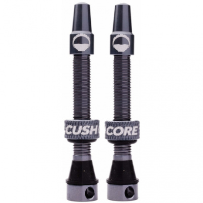 CushCore Tubeless Valves
