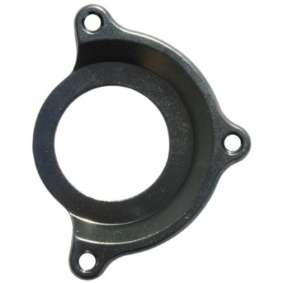 DMR Viral Chain GuideISCG05 Adaptor