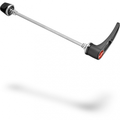 DT Swiss RWS Road or MTB (titanium) 100 x 5 mm with aluminium lever