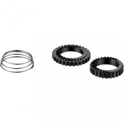 Giant 2020 SLR1 RATCHET KIT (2 RATCHETS  1 SPRING)