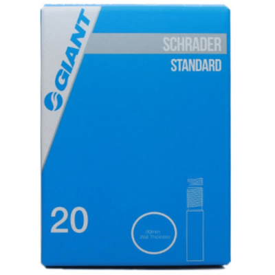 Giant 20X1.75-2.1 SV 35MM Bulk Box of 50