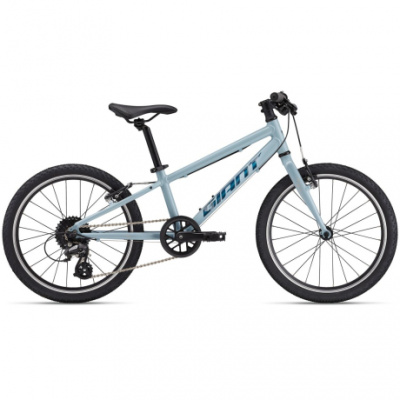 Giant ARX 20