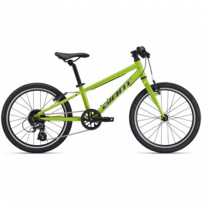 Giant ARX 20