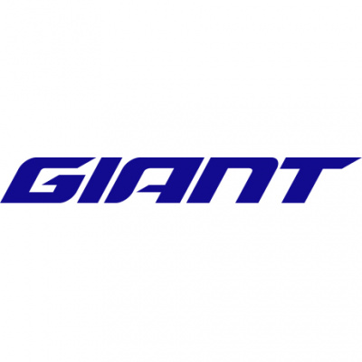 Giant GAEH31 MY24 Revolt 2 fork