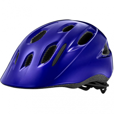 Giant Hoot ARX Kids Helmet