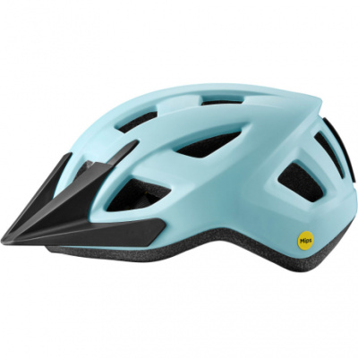 Giant Path ARX Helmet