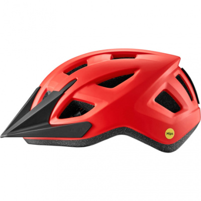 Giant Path ARX Helmet