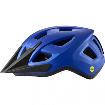 Giant Path ARX Helmet