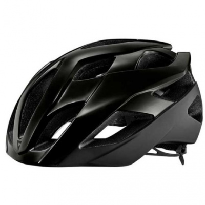Giant Rev Elite