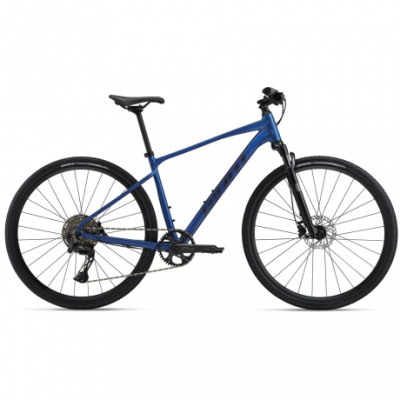 Giant Roam 1