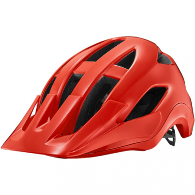 Giant Roost Helmet
