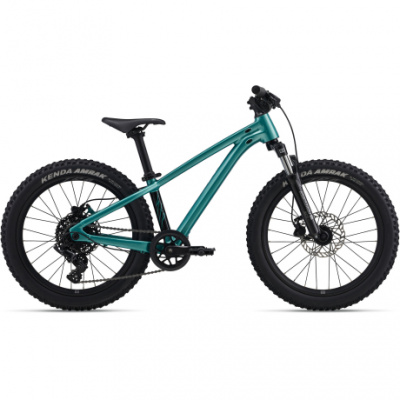 Giant STP 20 FS