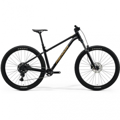 Merida Big Trail 300