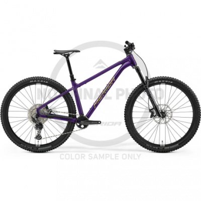 Merida BIG.TRAIL 600