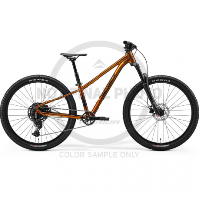 Merida Matts J.Champion