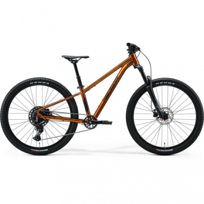 Merida Matts J.Champion