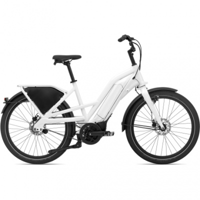 Momentum Delivery E+ Cargo Bike