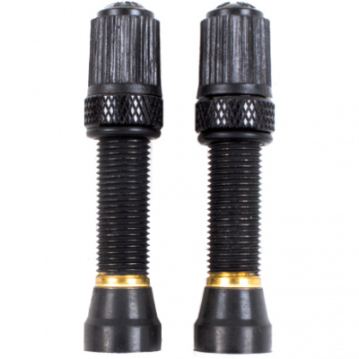Nutrak Schrader Tubeless Valve  Threaded Bronze