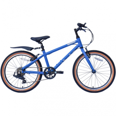 Raleigh Pop 20 Kids Bike