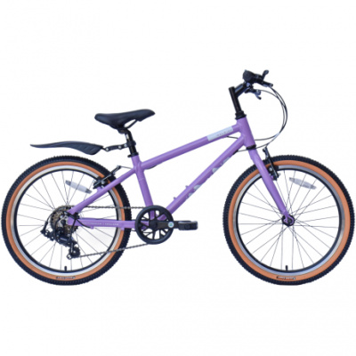Raleigh Pop 20 Kids Bike