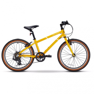 Raleigh Pop 20