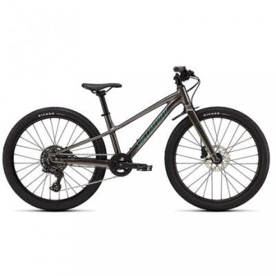 Specialized Riprock 24