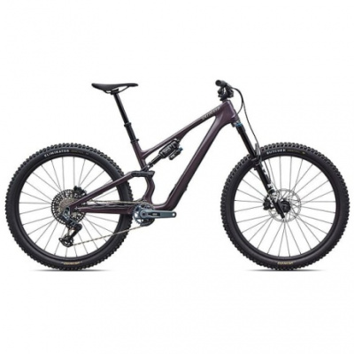 Specialized Stumpjumper 15 EVO Expert  - FACT 11m carbon  FOX Performance Elite w/ GENIE  GX Eagle AXS