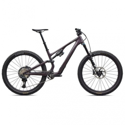 Specialized Stumpjumper 15 EVO Expert  - FACT 11m carbon  FOX Performance Elite w/ GENIE  XT Di2