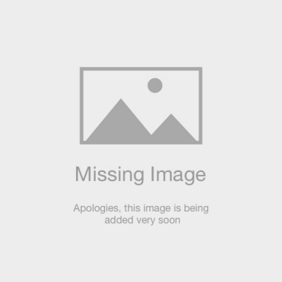 Sram Bracket Mounting Bolts  Titainium T25 2 Pcs  Flat Mount Caliper  37MM