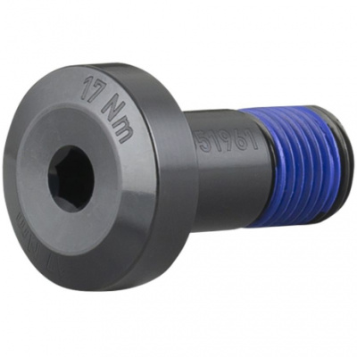 Trek 2022 Session 29 Idler Pulley Bolt