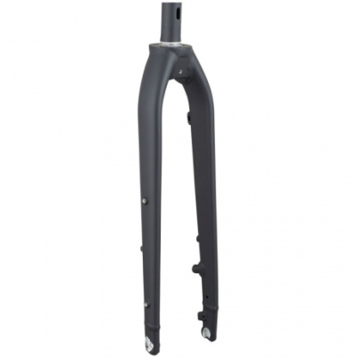Trek Dual Sport 2 Thru-Axle 29