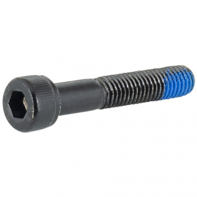 Trek M8x1.25 Socket Head Cap Screw