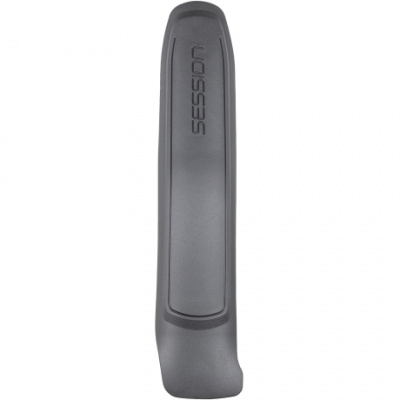 Trek Session Carbon Downtube Armor