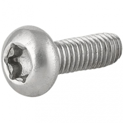 Trek T20 Torx Head Thread Forming Screw