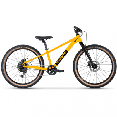 WHYTE Secta 24