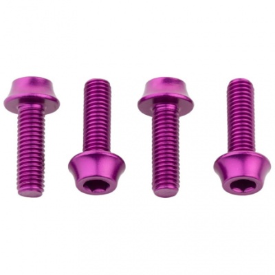 Wolf Tooth Water Bottle Cage Bolts  4 Pieces