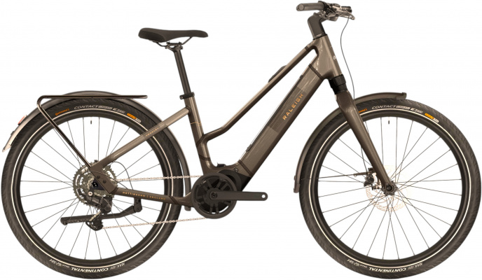 Raleigh 2026 Hockley Mid-Step Electric Bike