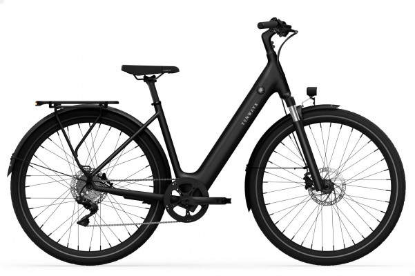 Tenways CGO800 Plus Electric Bike