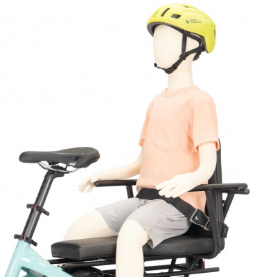 Tern Sidekick Seat Belt