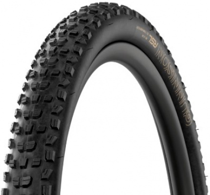 Bontrager Gunnison RSL XT Tubeless Ready Folding 29