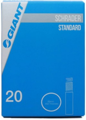 Giant 26