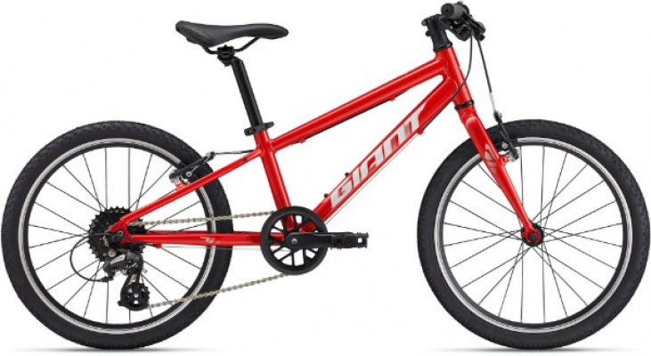 Giant ARX 20