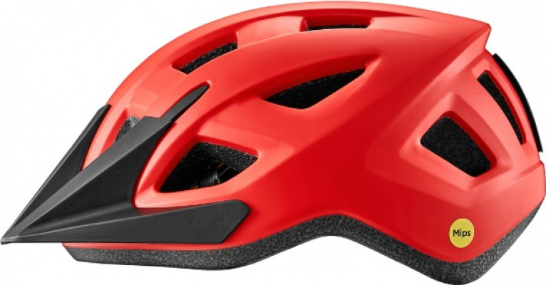 Giant Path ARX Mips Youth Cycling Helmet