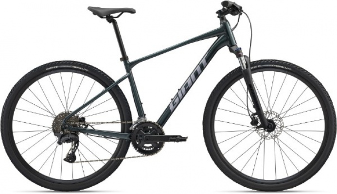 Giant Roam 2