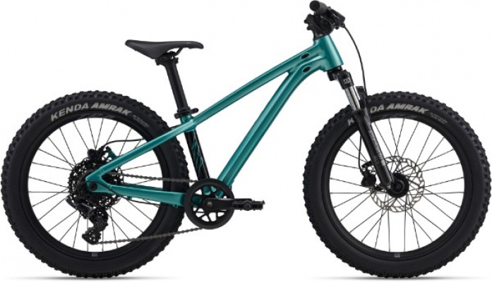 Giant STP 20 FS