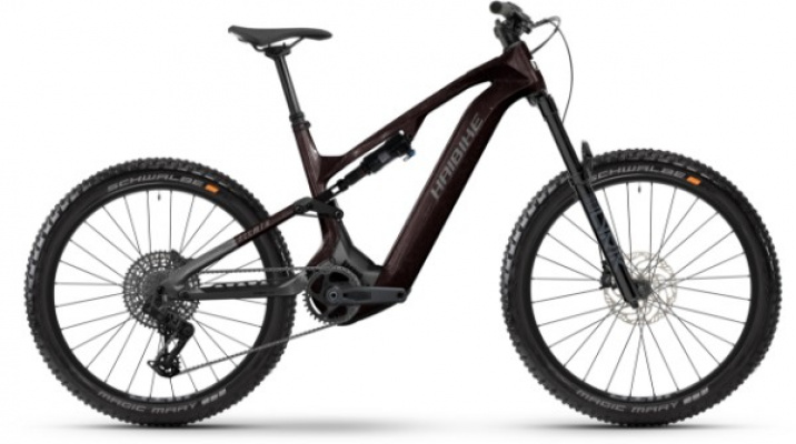 Haibike Allmtn CF 9