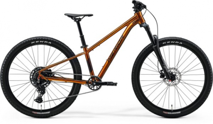 Merida Matts J.Champion
