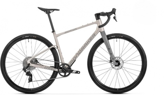 Mondraker Arid R