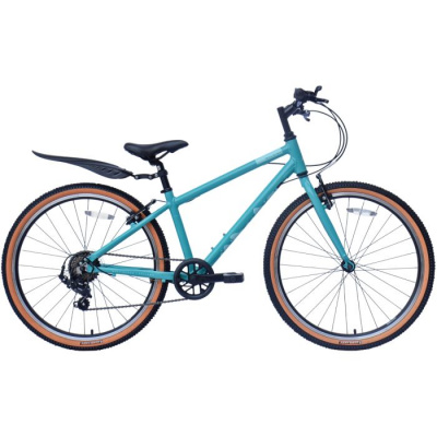 Raleigh Pop 24 Kids Bike