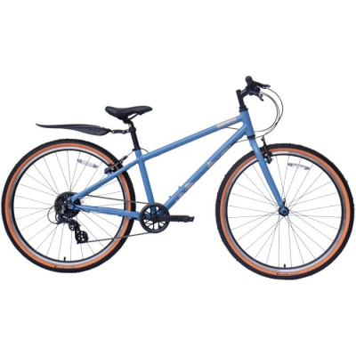 Raleigh Pop 26 Kids Bike